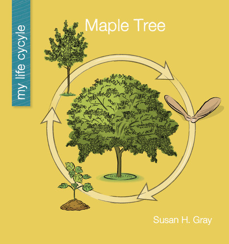 Maple Tree by Susan H. Gray, Jeff Bane, 9781534181717