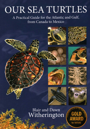 Our Sea Turtles (A Practical Guide for the Atlantic and Gulf, from Canada to Mexico) by Blair Witherington, Dawn Witherington, 9781561647361