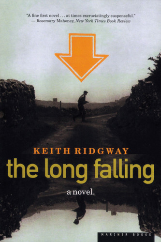 The Long Falling by Keith Ridgway, 9780395957820