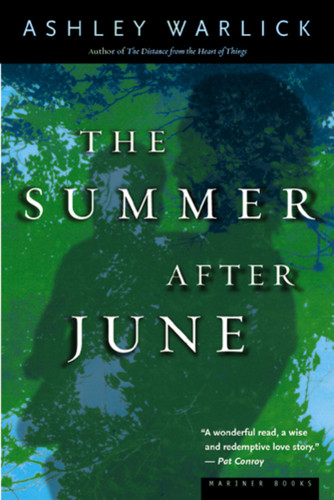 The Summer After June by Ashley Warlick, 9780618127306
