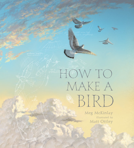 How to Make a Bird by Meg McKinlay, Matt Ottley, 9781536215267