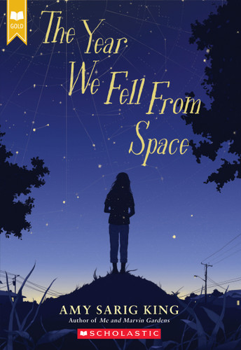 The Year We Fell From Space (Scholastic Gold) by Amy Sarig King, 9781338236453