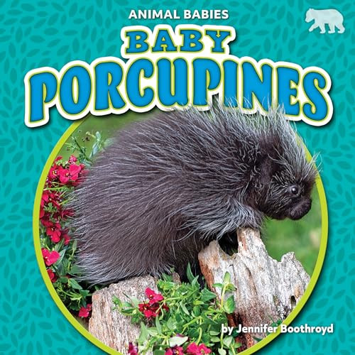 Baby Porcupines - 9781647474713 by Jennifer Boothroyd, 9781647474713