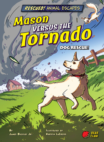 Mason versus the Tornado (Dog Rescue!) - 9781647476182 by James Buckley Jr., Kerstin LaCross, 9781647476182