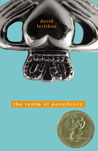 The Realm of Possibility by David Levithan, 9780375836572