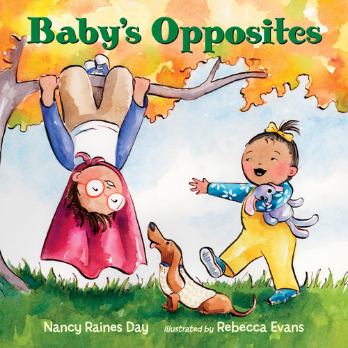Baby's Opposites by Nancy Raines Day, Rebecca Evans, 9781580898782