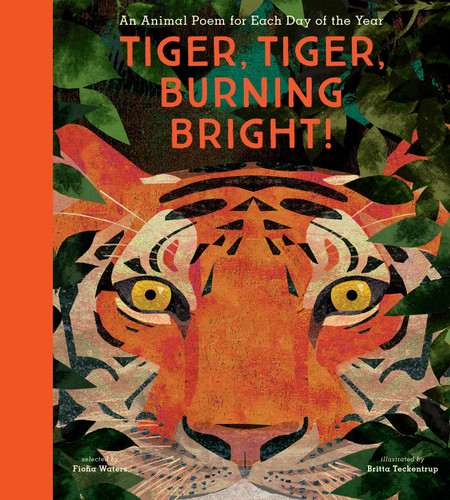 Tiger, Tiger, Burning Bright! (An Animal Poem for Each Day of the Year) by Britta Teckentrup, Fiona Waters, 9781536217186
