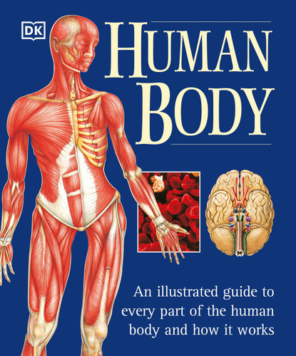 The Human Body (An Illustrated Guide to Every Part of the Human Body and How It Works) by Martyn Page, 9780789479884