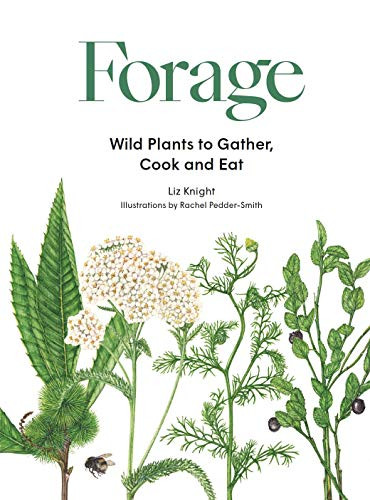Forage (Wild plants to gather and eat) by Liz Knight, Rachel Pedder-Smith, 9781786277367 Forage (Wild plants to gather and eat) by Liz Knight, Rachel Pedder-Smith, 9781786277367
