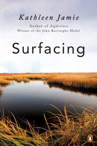 Surfacing - 9780143134459 by Kathleen Jamie, 9780143134459