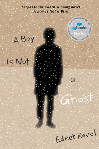 A Boy Is Not a Ghost by Edeet Ravel, 9781773064987