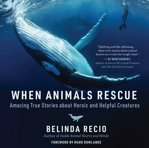 When Animals Rescue (Amazing True Stories about Heroic and Helpful Creatures) by Belinda Recio, Mark Rowlands, 9781510762602