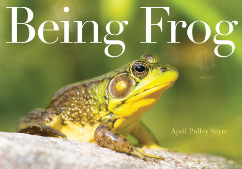 Being Frog by April Pulley Sayre, April Pulley Sayre, 9781534428812