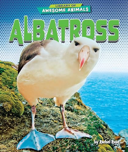Albatross by Rachel Rose, 9781636911472