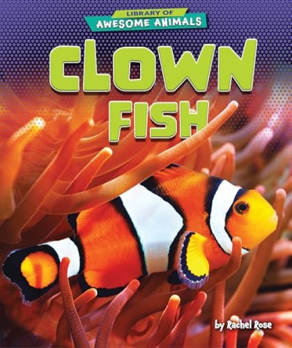 Clown Fish - 9781636911434 by Rachel Rose