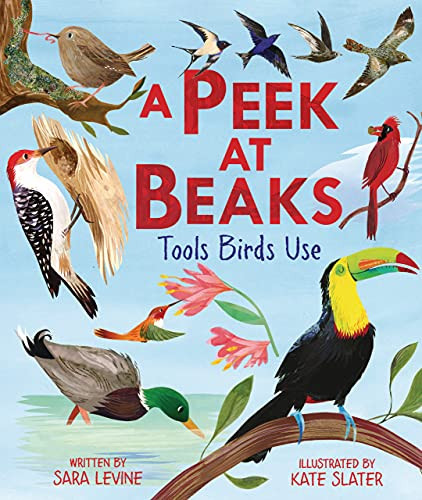 A Peek at Beaks (Tools Birds Use) by Sara Levine, Kate Slater, 9781541587342
