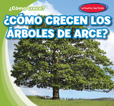 ¿Cómo crecen los árboles de arce? (How Do Maple Trees Grow) by Kathleen Connors, Diana Osorio, 9781538268131