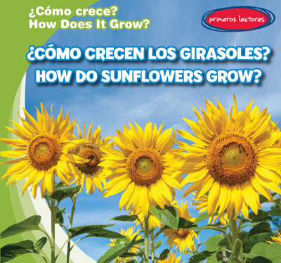 ¿Cómo crecen los girasoles? / How Do Sunflowers Grow? by Kathleen Connors, 9781538269459