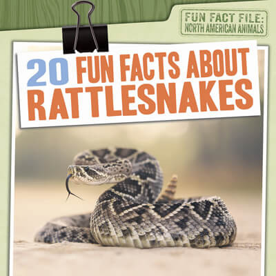 20 Fun Facts About Rattlesnakes by Natalie Humphrey, 9781538257524