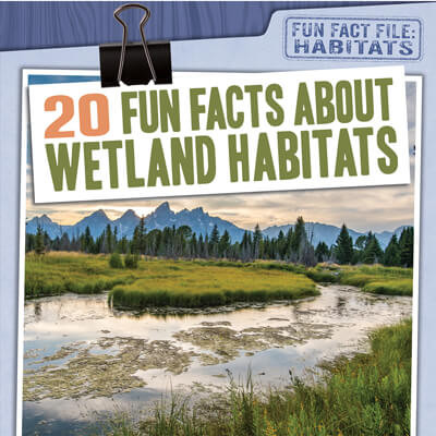 20 Fun Facts About Wetland Habitats by Therese M. Shea, 9781538264577