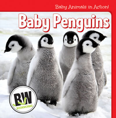 Baby Penguins - 9781502656032 by Nicole Horning, 9781502656032