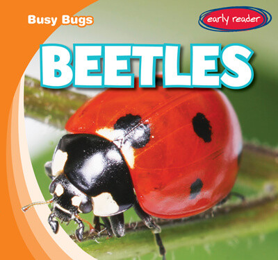 Beetles - 9781538263273 by Bray Jacobson, 9781538263273