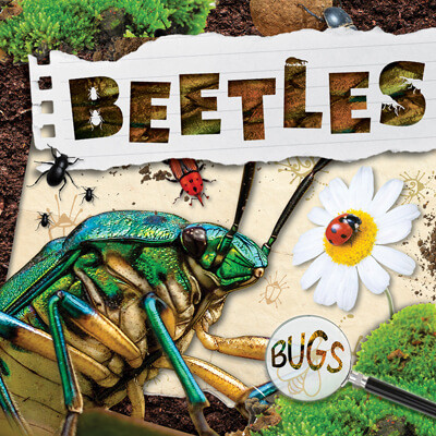 Beetles - 9781534537644 by William Anthony, 9781534537644