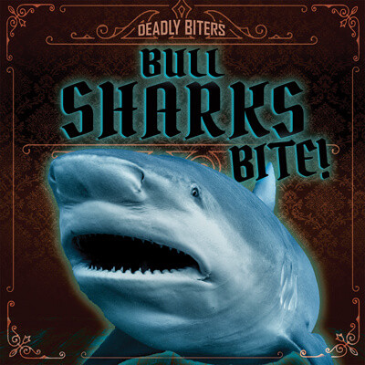 Bull Sharks Bite! - 9781538257920 by Janey Levy, 9781538257920