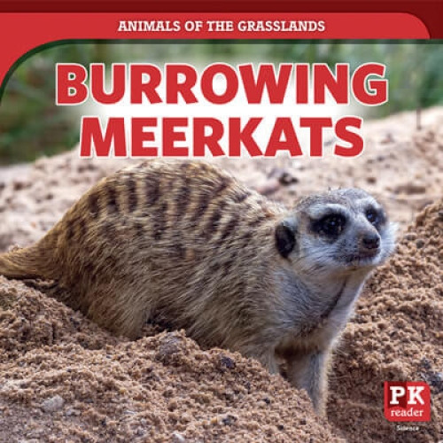 Burrowing Meerkats - 9781725316928 by Theresa Emminizer