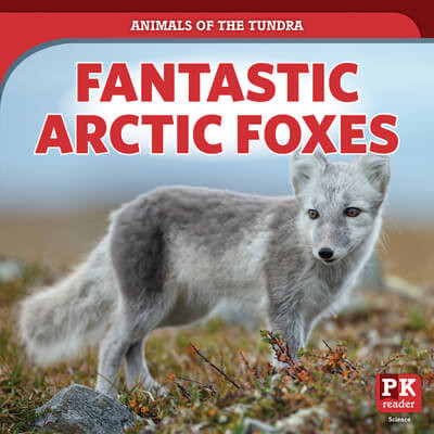 Fantastic Arctic Foxes by Theresa Emminizer, 9781725326255
