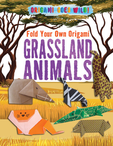 Fold Your Own Origami Grassland Animals by Ruth Owen, 9781725330955 Fold Your Own Origami Grassland Animals by Ruth Owen, 9781725330955