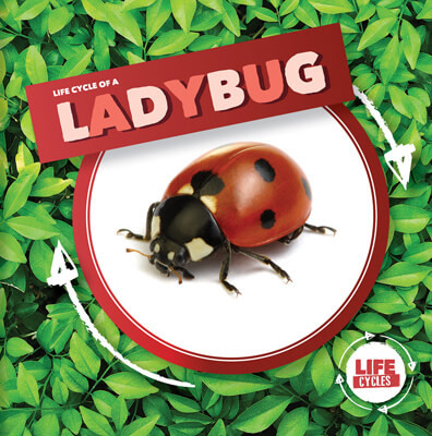 Life Cycle of a Ladybug - 9781534537965 by Kirsty Holmes, 9781534537965