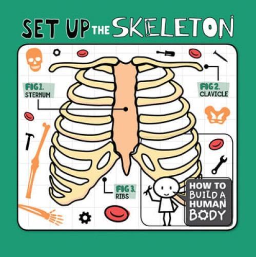 Set Up the Skeleton by Kirsty Holmes, 9781978519275