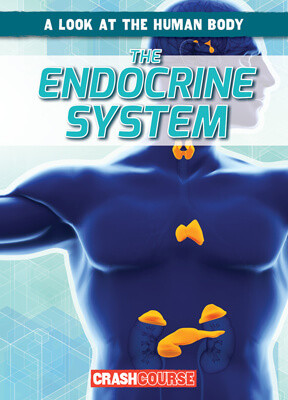 The Endocrine System by Jonas Edwards, 9781538266137
