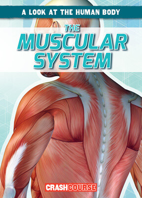 The Muscular System - 9781538266199 by Jonas Edwards, 9781538266199
