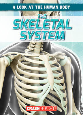 The Skeletal System - 9781538266298 by Jonas Edwards, 9781538266298