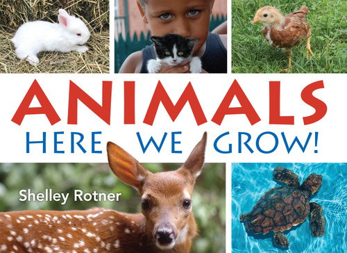 Animals! (Here We Grow) - 9780823451425 by Shelley Rotner, 9780823451425