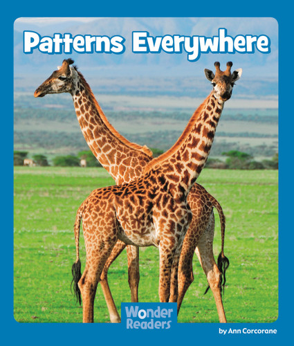 Patterns Everywhere by Ann Corcorane, 9781429678698