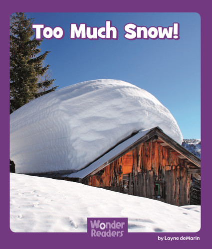 Too Much Snow by Layne deMarin, 9781429679442
