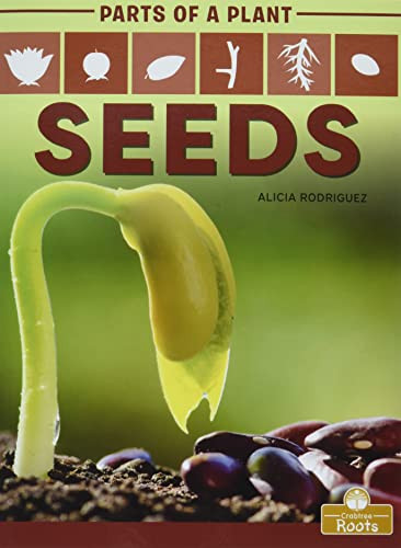 Seeds - 9781427140746 by Alicia Rodriguez, Amy Culliford