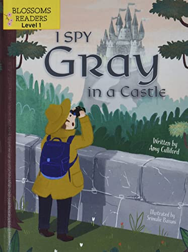 I Spy Gray in a Castle by Amy Culliford, Srimalie Bassani, Amy Culliford, 9781427151964