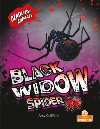 Black Widow Spider by Amy Culliford, Jim Earley, 9781427154125