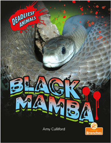 Black Mamba - 9781427154170 by Amy Culliford, Jim Earley, 9781427154170