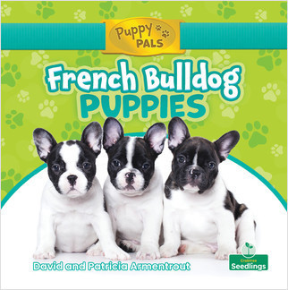 French Bulldog Puppies by David Armentrout, Patricia Armentrout, Amy Culliford, 9781427157584