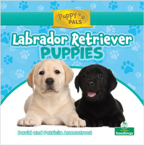 Labrador Retriever Puppies by David Armentrout, Patricia Armentrout, Amy Culliford, 9781427157706