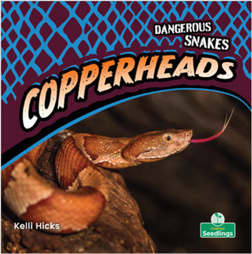 Copperheads - 9781427159090 by Kelli Hicks, Amy Culliford, 9781427159090
