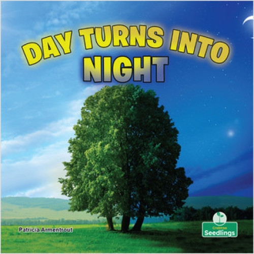 Day Turns into Night - 9781427159526 by Patricia Armentrout, Amy Culliford