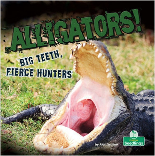 Alligators! Big Teeth, Fierce Hunters - 9781427161307 by Alan Walker, Amy Culliford