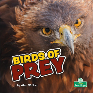 Birds of Prey - 9781427161314 by Alan Walker, Amy Culliford, 9781427161314
