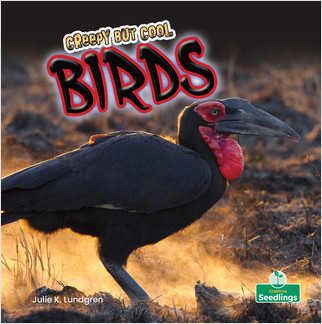 Creepy But Cool Birds by Julie K. Lundgren, Amy Culliford, 9781427161628